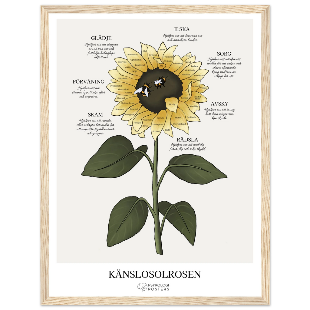 197dcd07-ad9e-4a8b-a8ec-4d588ec64454