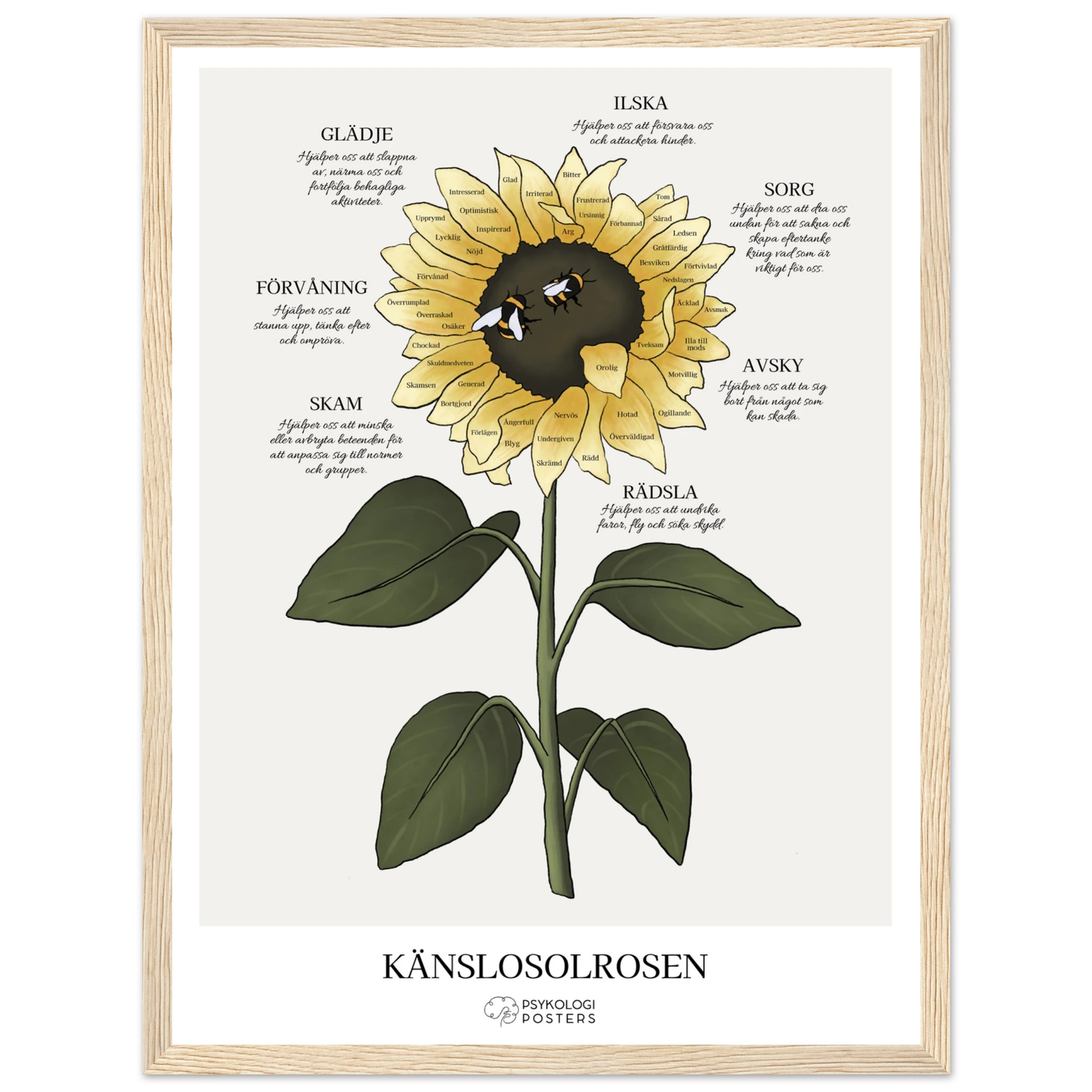 197dcd07-ad9e-4a8b-a8ec-4d588ec64454