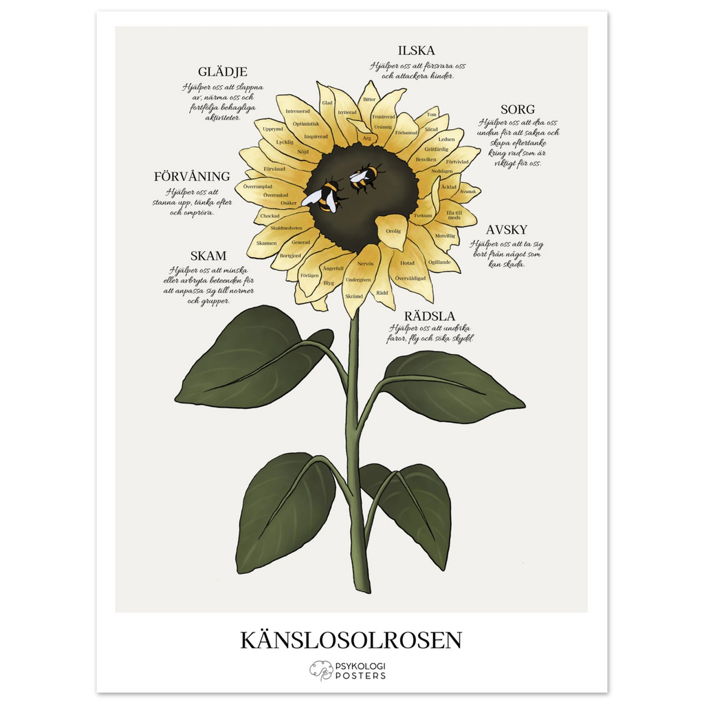 1bcdc24b-95ad-46ab-93d3-8619963e1f92