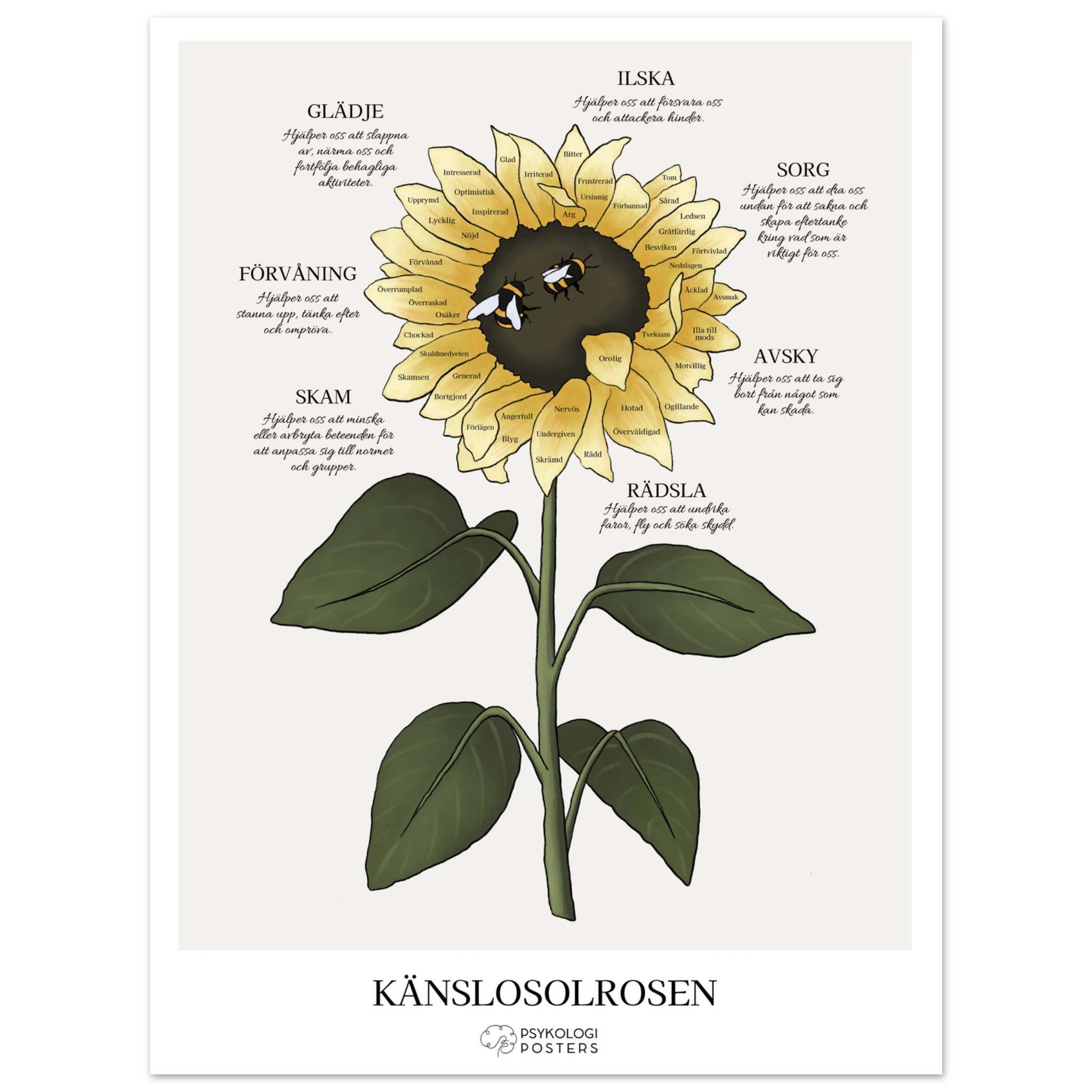 1bcdc24b-95ad-46ab-93d3-8619963e1f92