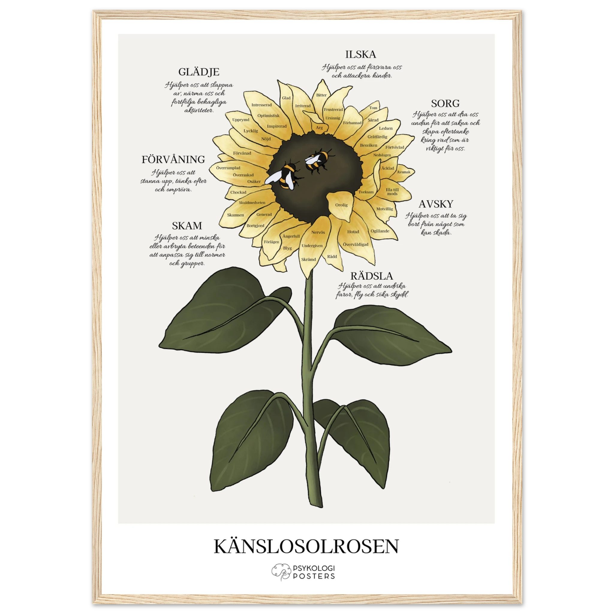 809dbb1a-2a89-4f79-8611-bf2afa426fd1