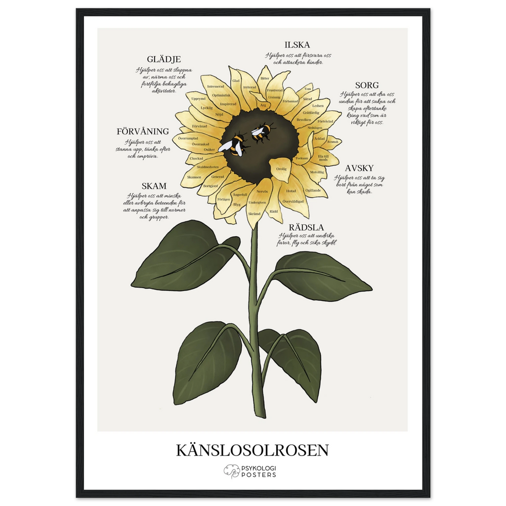 a053e6b2-2de3-481f-b1e8-0616397c6225