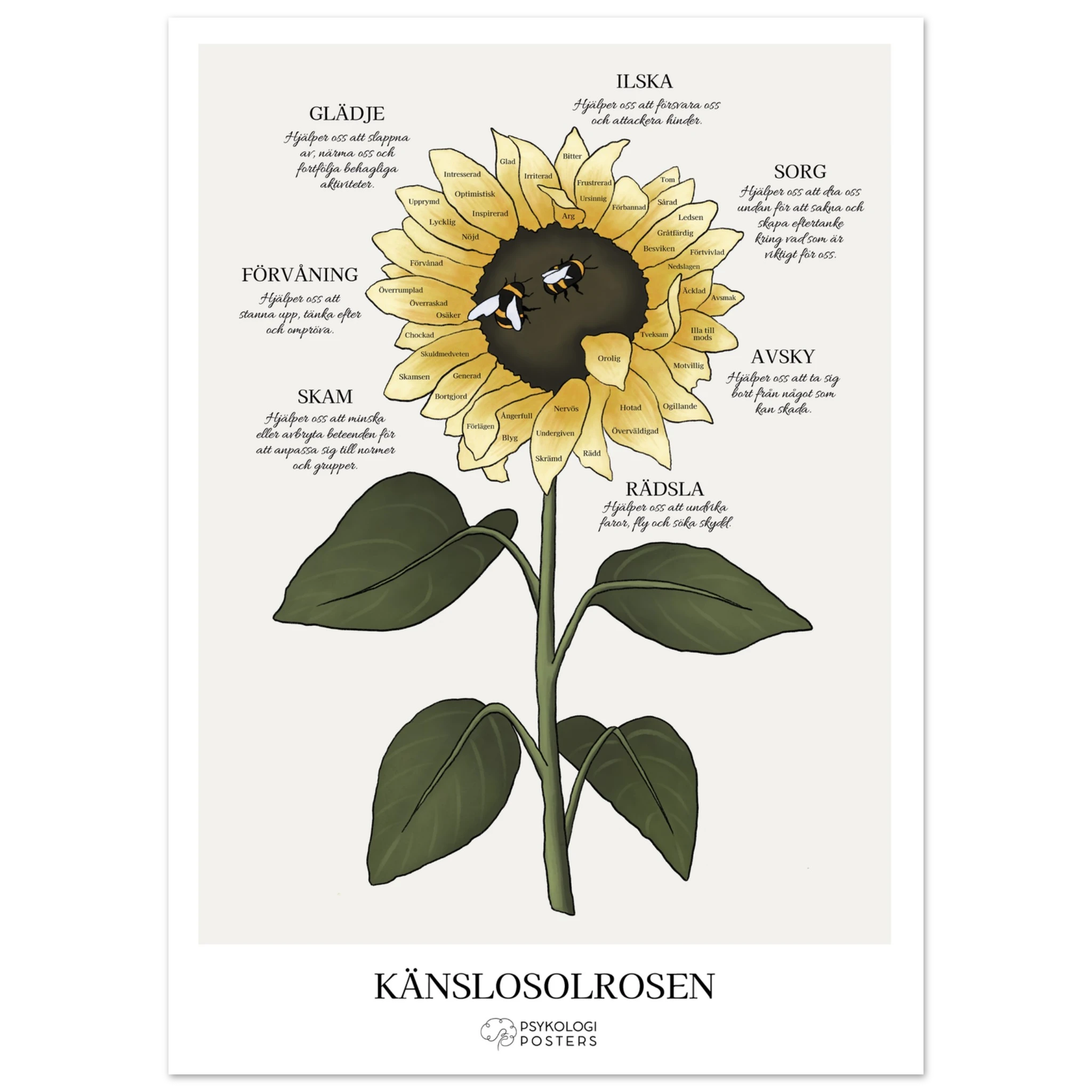 e13e994f-7bfa-4195-8040-1d355f6f1f73